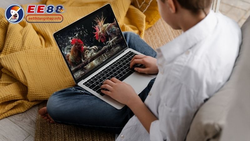 Cách Thức Đá Gà Trực Tuyến Ăn Tiền Hoạt Động Ra Sao?