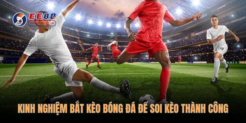 Kinh nghiệm bắt kèo bóng đá nên chọn kèo hay