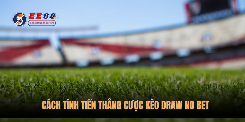 Cách tính tiền thắng kèo draw no bet