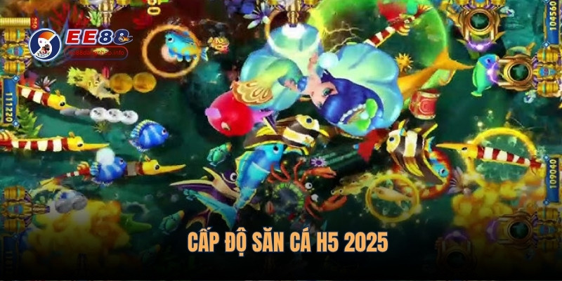 Cấp độ săn cá H5 2025