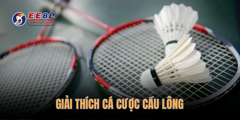Giải thích cá cược cầu lông