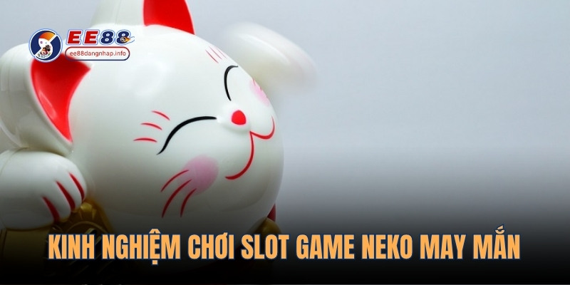 Kinh nghiệm quay neko may mắn