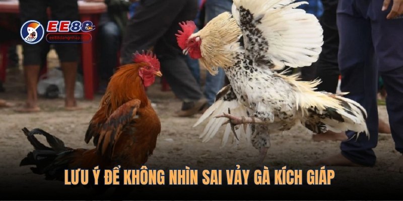 Lưu ý để không nhìn sai vảy gà kích giáp