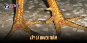 vay-ga-huyen-tram
