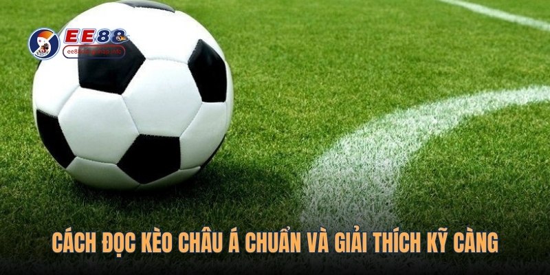 Cách đọc kèo châu Á chuẩn và giải thích kỹ càng