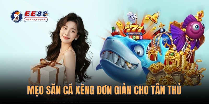 Mẹo săn cá xèng đơn giản cho tân thủ