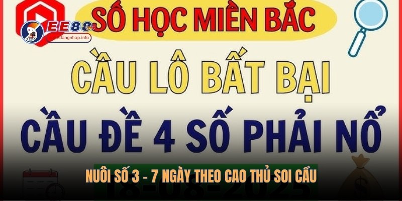 Nuôi số 3 - 7 ngày theo cao thủ soi cầu