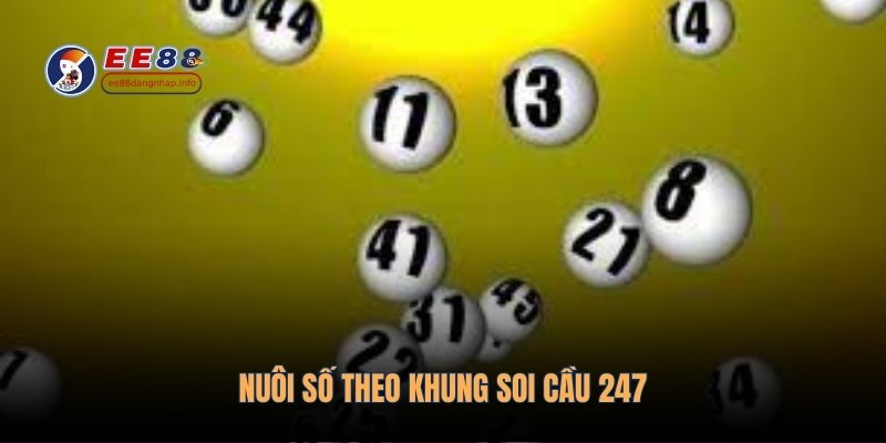 Nuôi số theo khung soi cầu 247